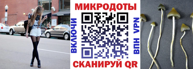 Купить где Карасук Галлюциногенные грибы Cubensis